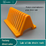 Glass Slide Drain Rack Electrophoresis Gel Glass Plate Drying Holder Biological Pathology Microscope Bio Slice Slot Holder